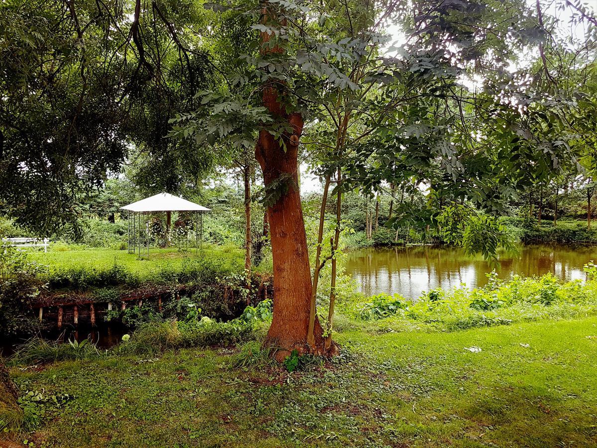 Leniwka Hotel ชวีบอจิน ภายนอก รูปภาพ