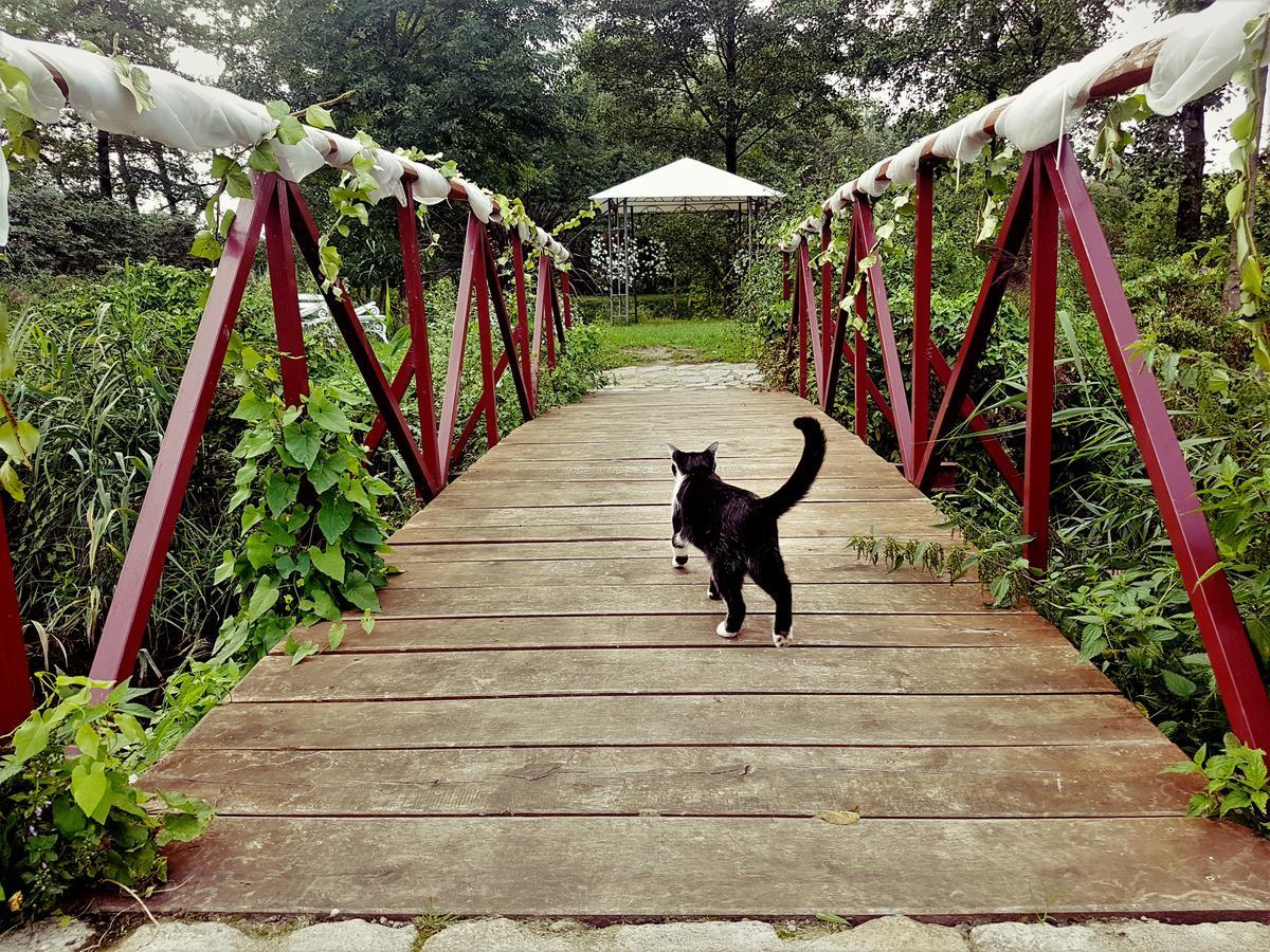 Leniwka Hotel ชวีบอจิน ภายนอก รูปภาพ